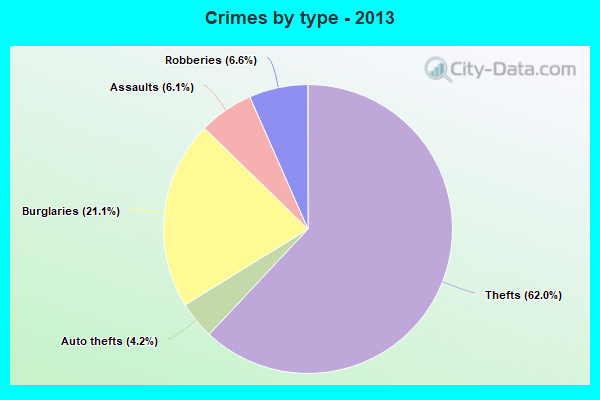 Crimes by type - 2013