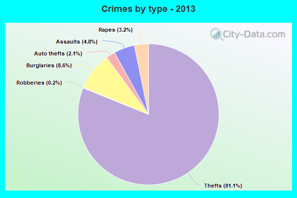 Crimes by type - 2013