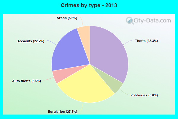 Crimes by type - 2013