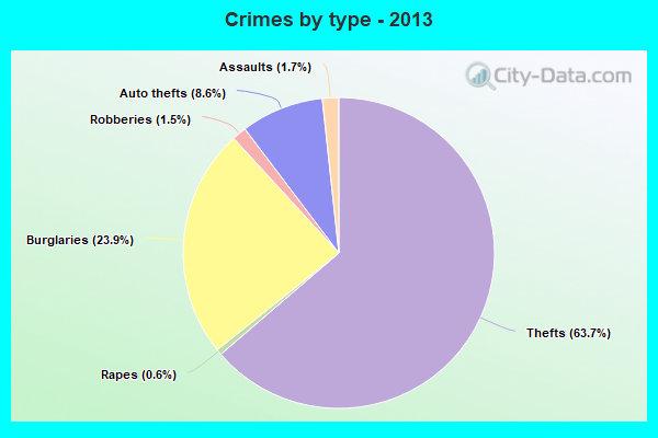 Crimes by type - 2013