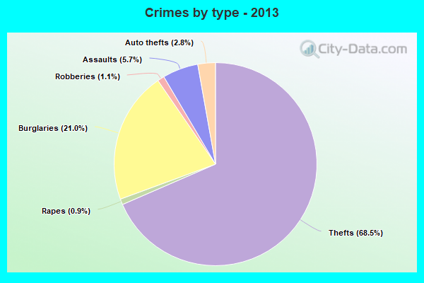 Crimes by type - 2013