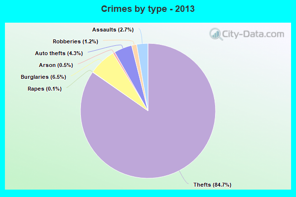 Crimes by type - 2013