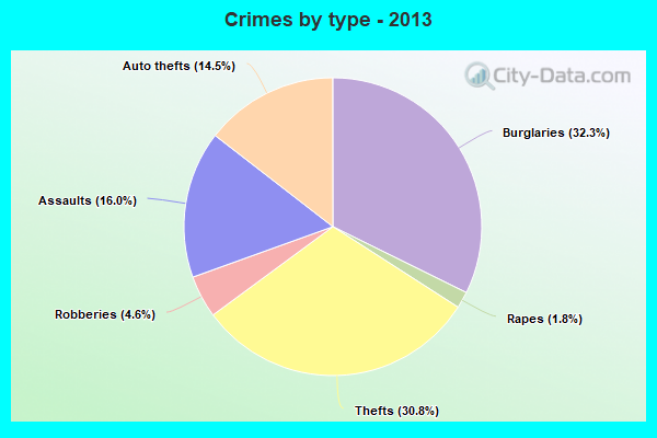 Crimes by type - 2013