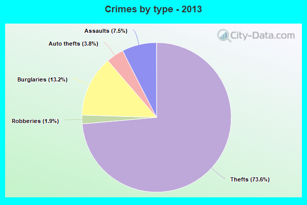 Crimes by type - 2013