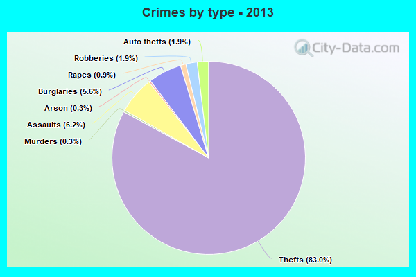 Crimes by type - 2013