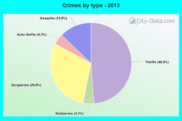 Crimes by type - 2013