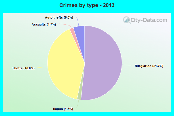 Crimes by type - 2013