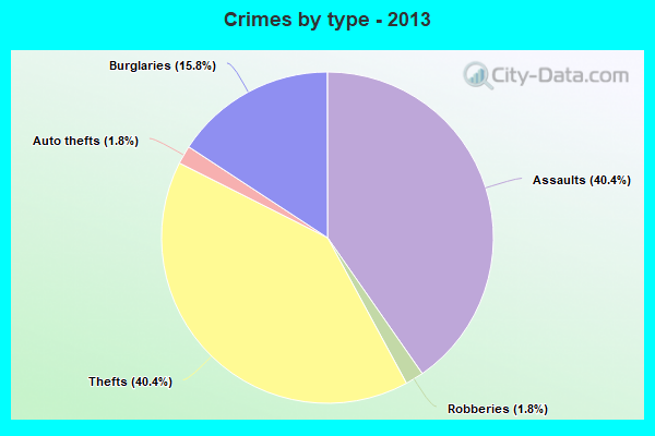 Crimes by type - 2013