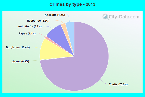 Crimes by type - 2013