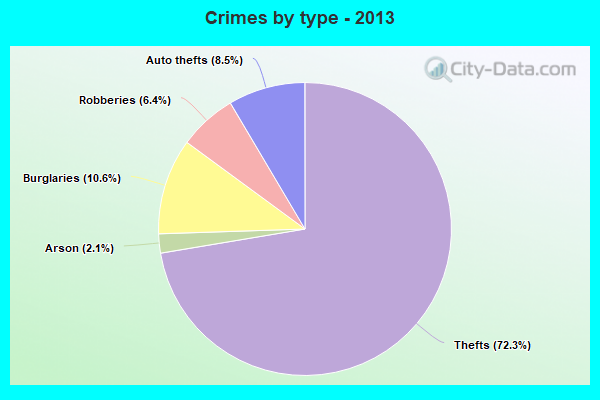 Crimes by type - 2013