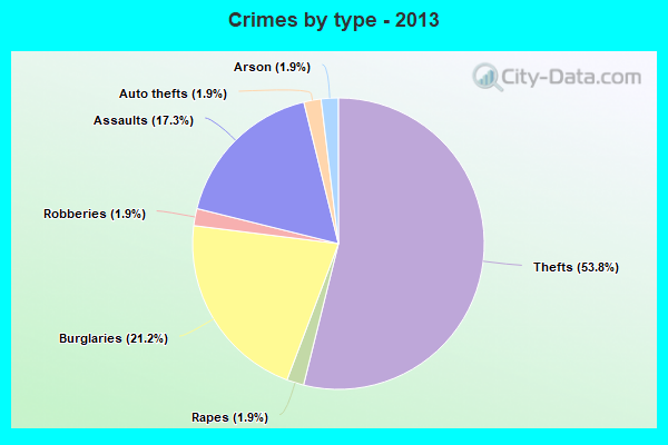 Crimes by type - 2013