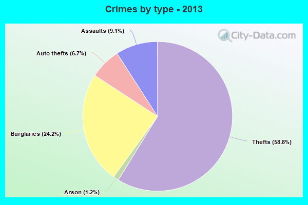 Crimes by type - 2013