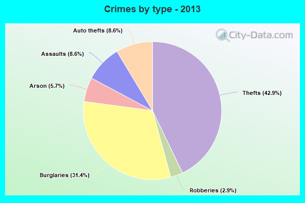 Crimes by type - 2013