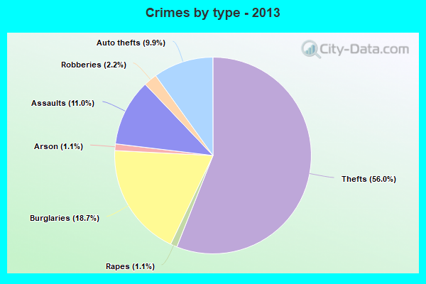 Crimes by type - 2013