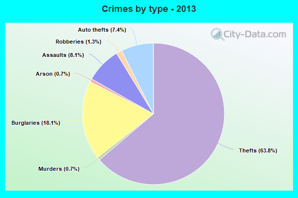 Crimes by type - 2013