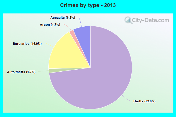 Crimes by type - 2013