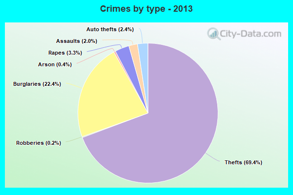 Crimes by type - 2013