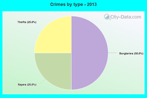 Crimes by type - 2013