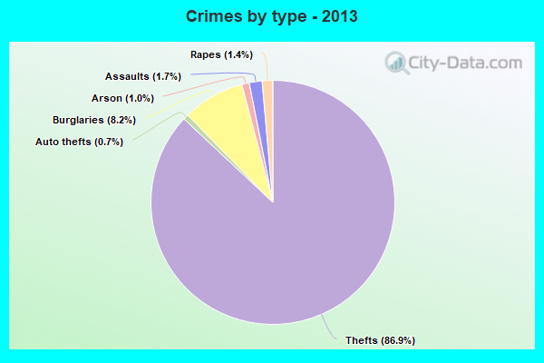 Crimes by type - 2013