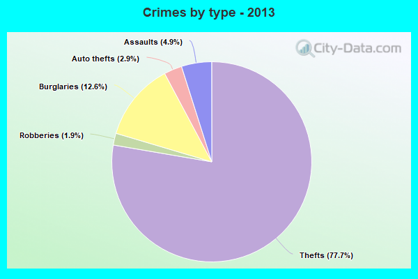 Crimes by type - 2013