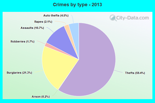 Crimes by type - 2013