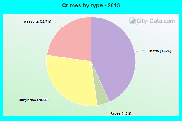 Crimes by type - 2013