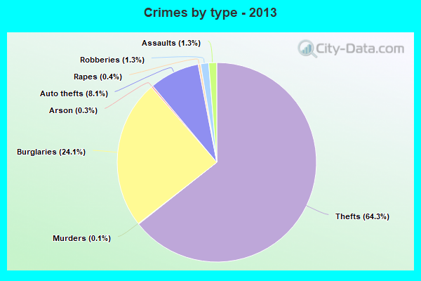 Crimes by type - 2013