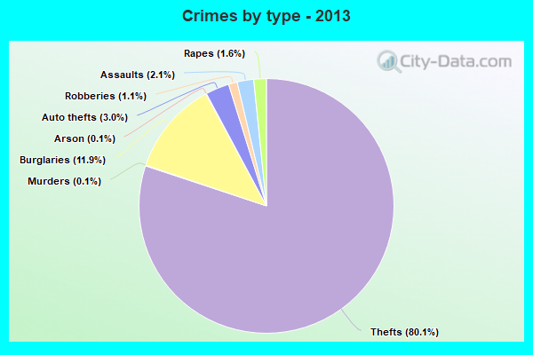 Crimes by type - 2013