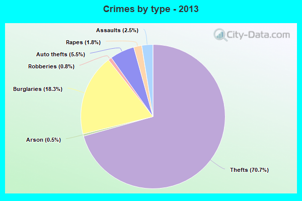 Crimes by type - 2013