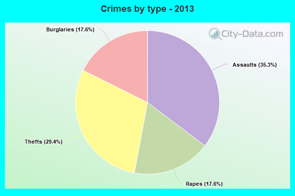 Crimes by type - 2013