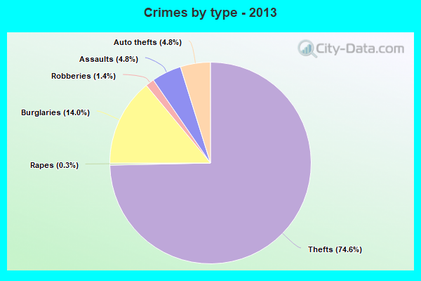 Crimes by type - 2013