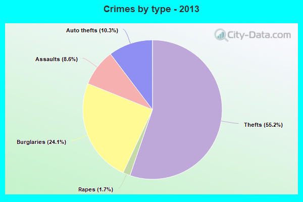 Crimes by type - 2013