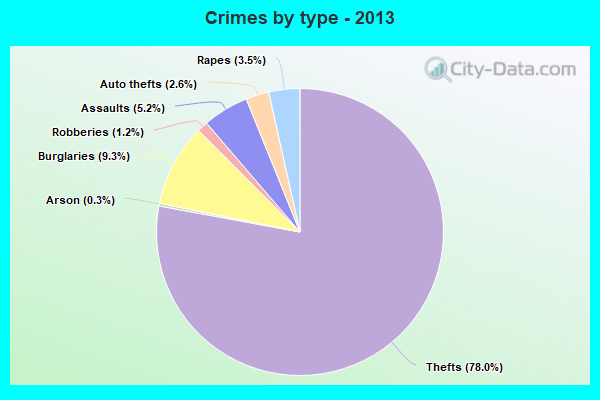 Crimes by type - 2013