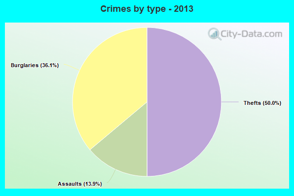 Crimes by type - 2013