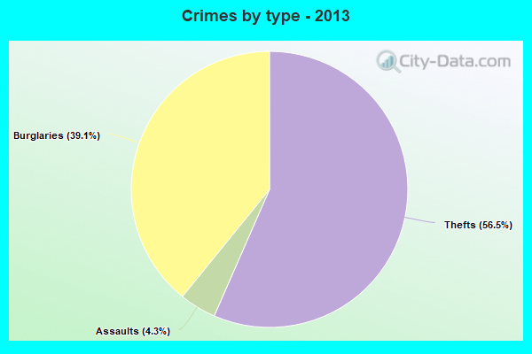 Crimes by type - 2013