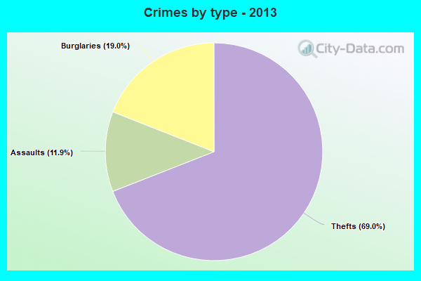 Crimes by type - 2013