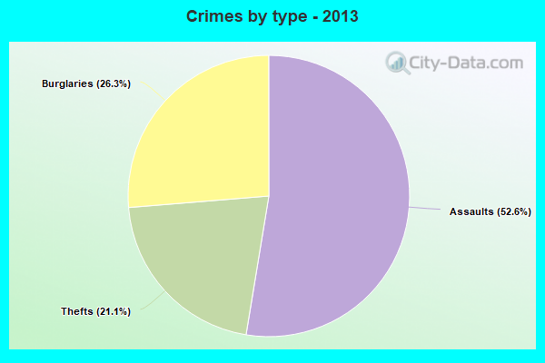 Crimes by type - 2013