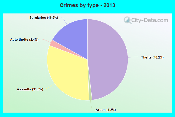 Crimes by type - 2013