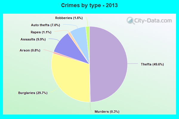 Crimes by type - 2013