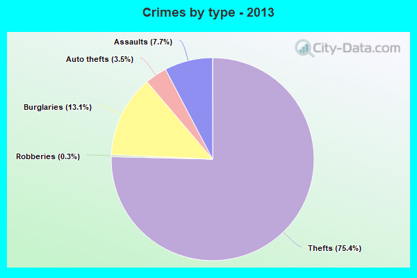 Crimes by type - 2013