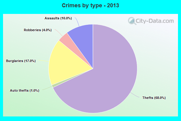 Crimes by type - 2013