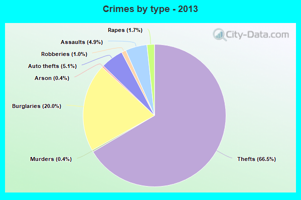 Crimes by type - 2013