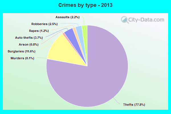 Crimes by type - 2013