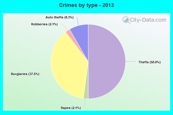 Crimes by type - 2013