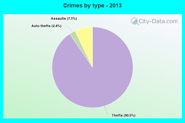 Crimes by type - 2013