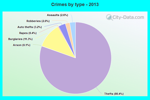 Crimes by type - 2013