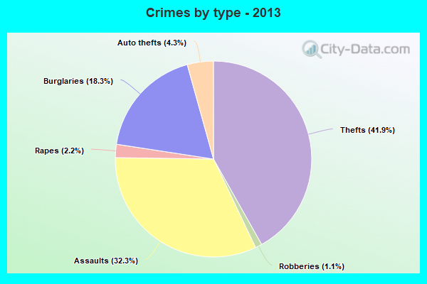 Crimes by type - 2013