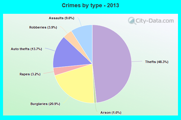 Crimes by type - 2013