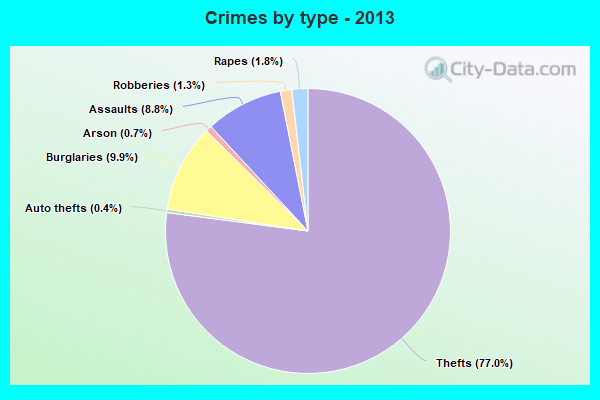 Crimes by type - 2013