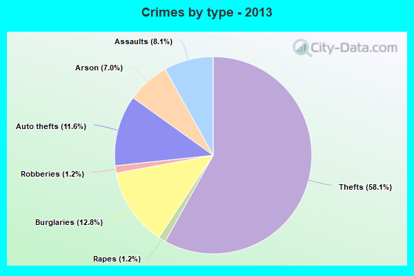 Crimes by type - 2013